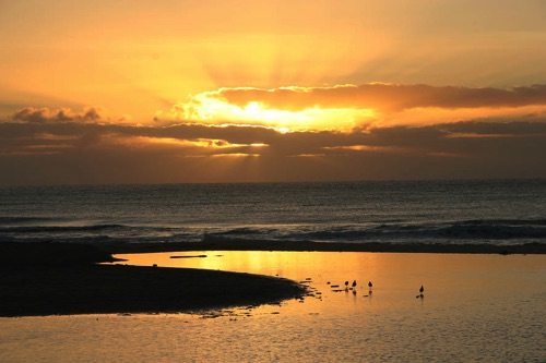 SUN–029.jpg