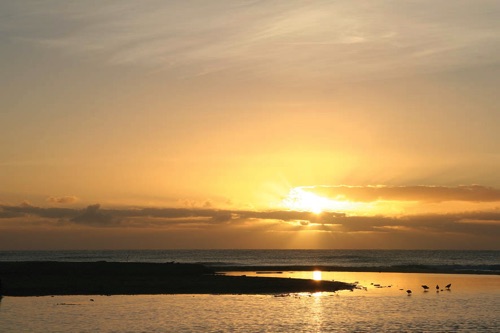 SUN–030.jpg